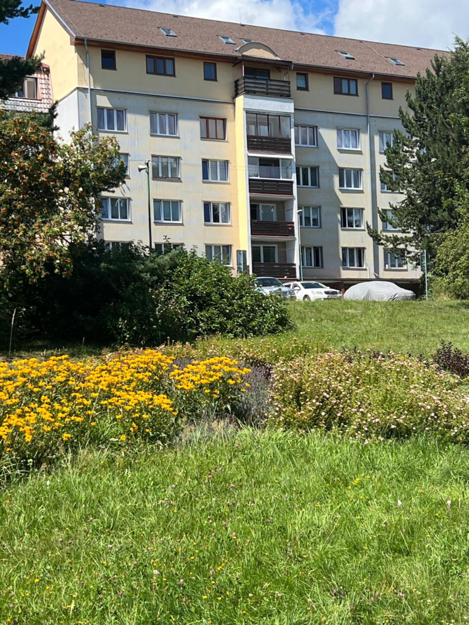 Apartment Tatranska Strba Dış mekan fotoğraf